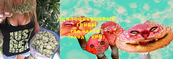 сатива Алексин